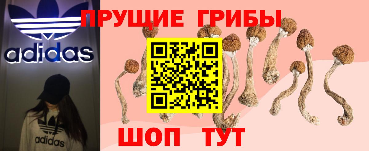 Псилоцибиновые грибы MAGIC MUSHROOMS  Вход с VPN  Галлюциногенные грибы Cubensis  Горно-Алтайск 