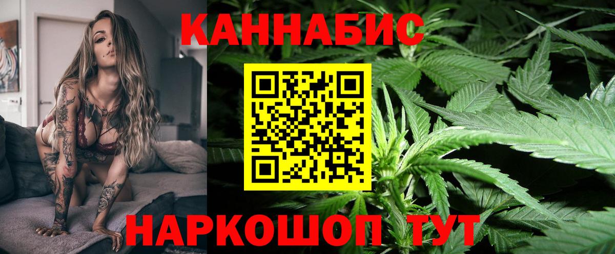 Бошки марихуана сатива  Конопля семена  Бошки марихуана White Widow  Вход с VPN  Горно-Алтайск 
